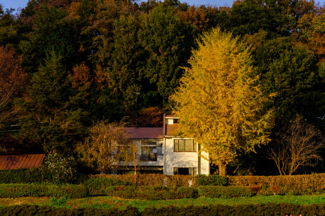 f0302208_02135800.jpg