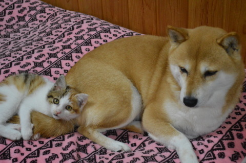 e0201009_22022945.jpg