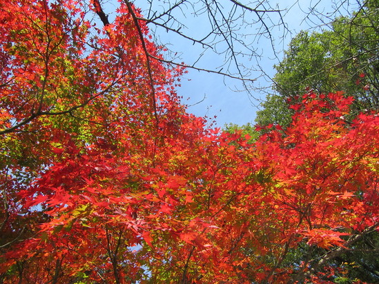 f0231709_152505.jpg