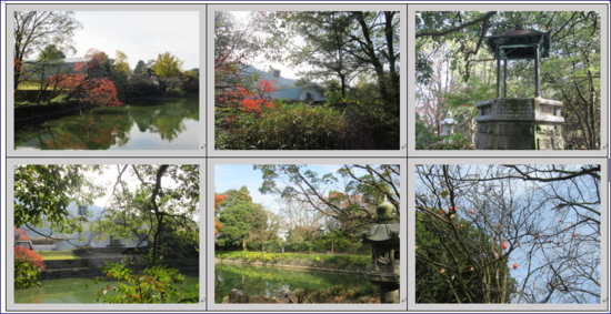 f0231709_212489.png