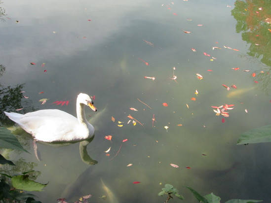 f0231709_29024.jpg