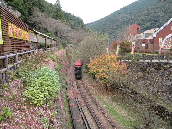 f0231709_3101949.jpg