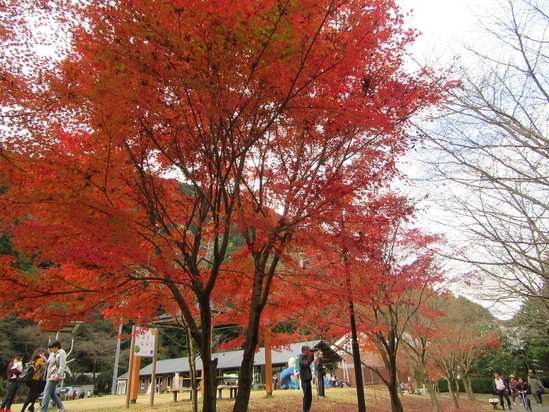 f0231709_33328.jpg