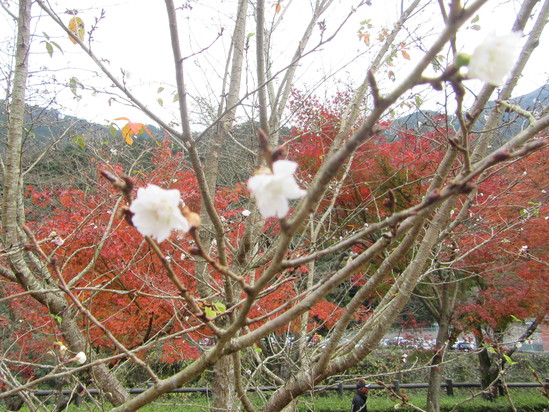 f0231709_34428.jpg