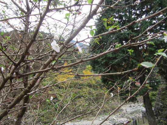 f0231709_353098.jpg