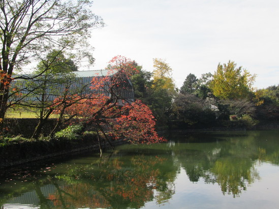 f0231709_3552130.jpg