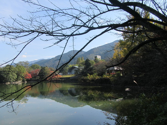 f0231709_356713.jpg