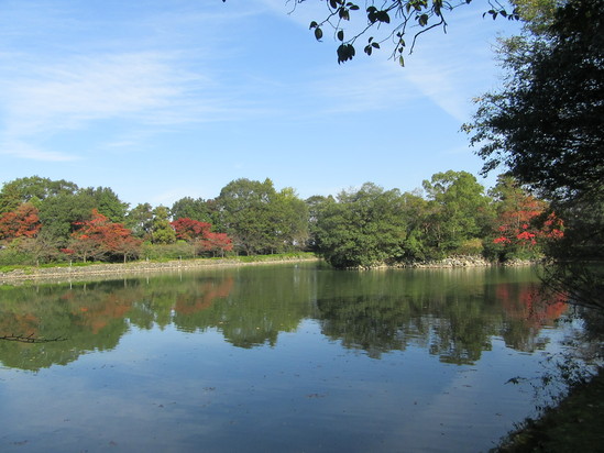 f0231709_405320.jpg