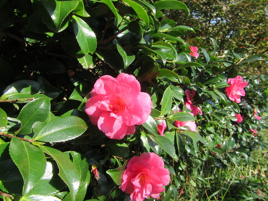 f0231709_4134394.jpg