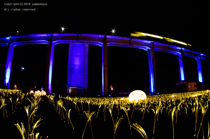 d0309612_07211276.jpg