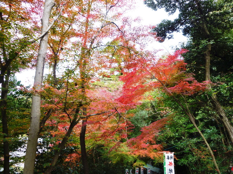 d0170615_09075613.jpg