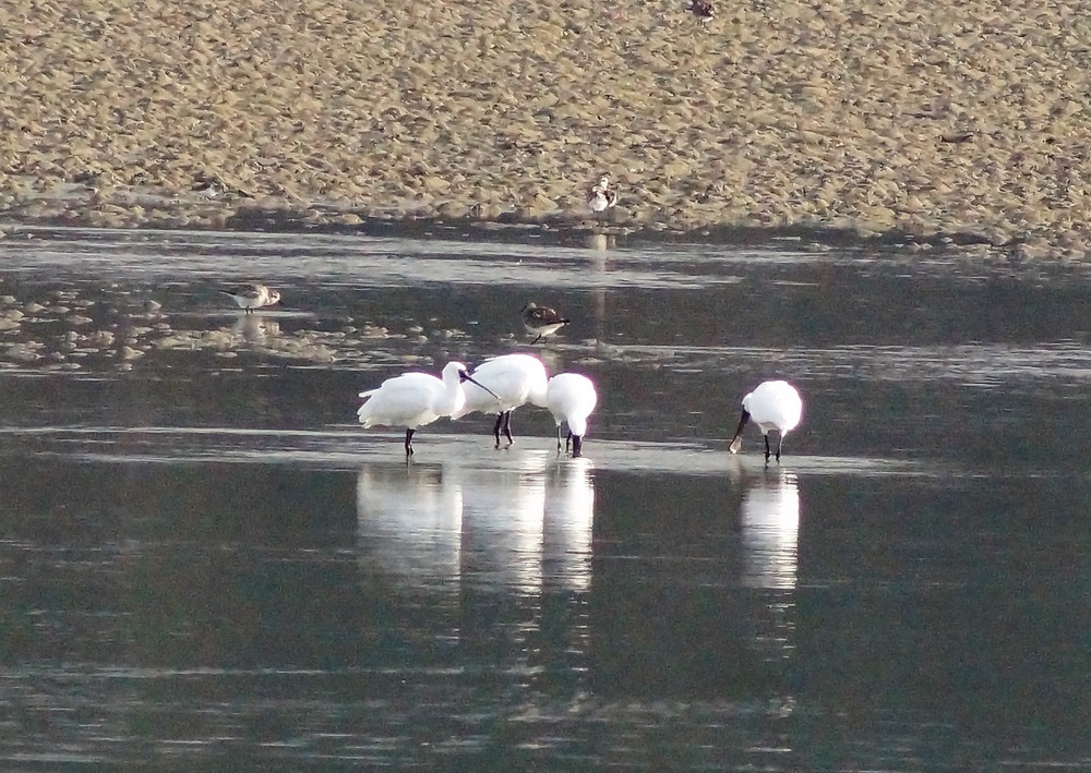 c0042418_08443390.jpg
