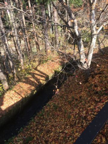 c0114121_023418.jpg