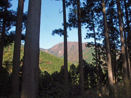 e0312121_0253673.gif