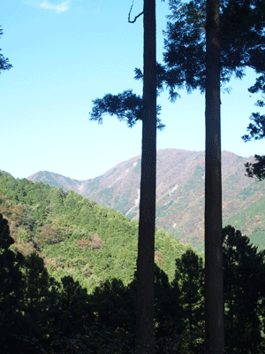 e0312121_027119.gif