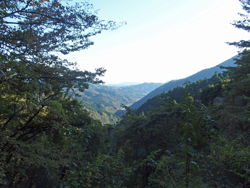 e0312121_0275760.gif