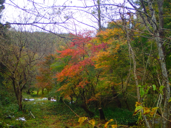 c0034029_13435322.jpg