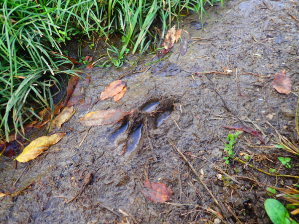 c0034029_134415.jpg