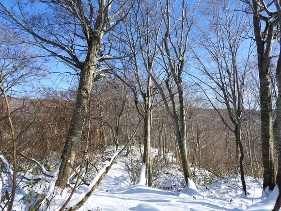 f0118332_224928.jpg