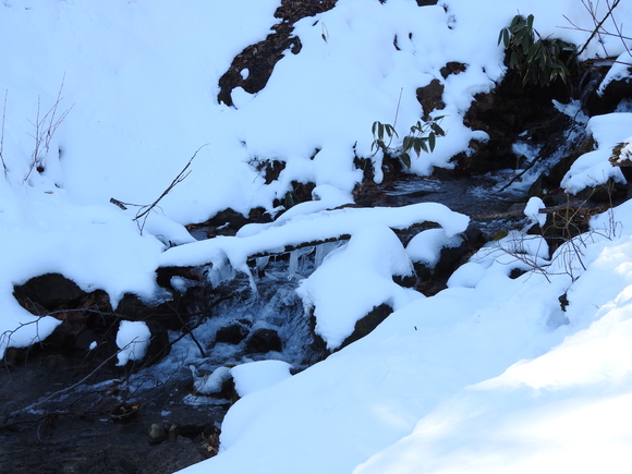 f0118332_23523.jpg