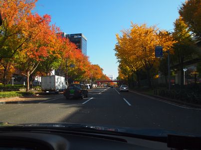 f0328134_9481443.jpg