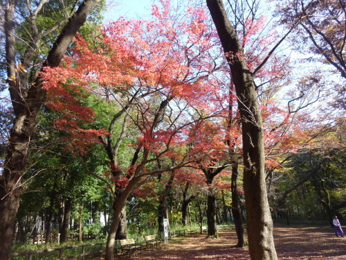 b0298935_22203825.jpg