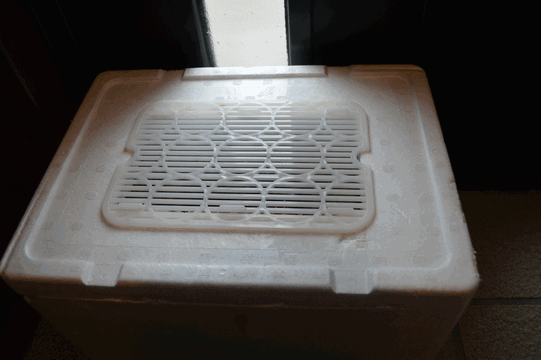 c0136736_14034811.gif