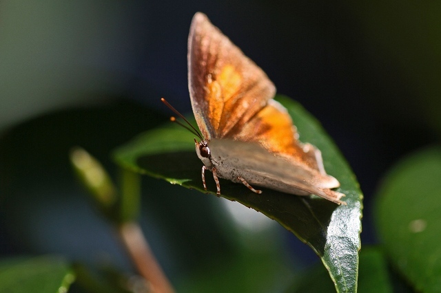 a0242438_18513931.jpg