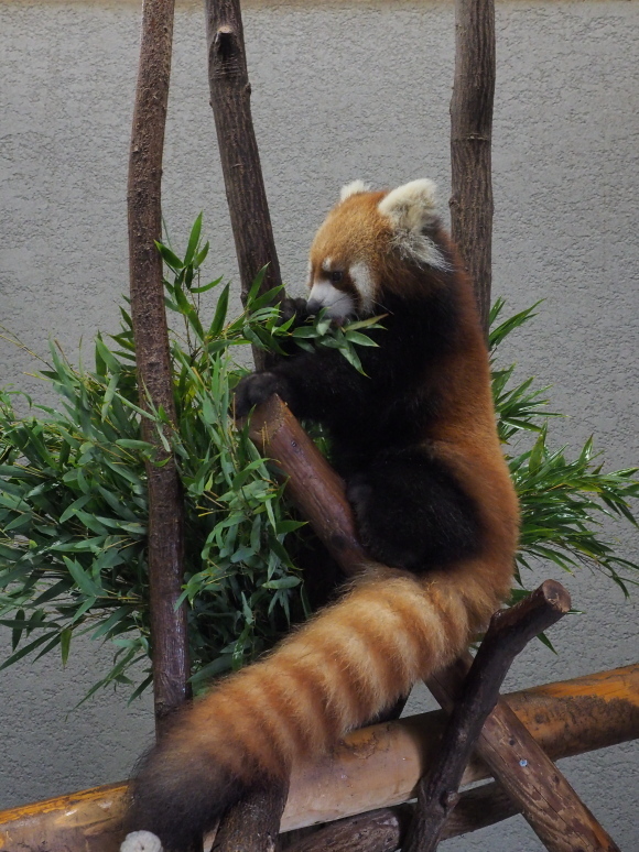 a0149740_16241142.jpg