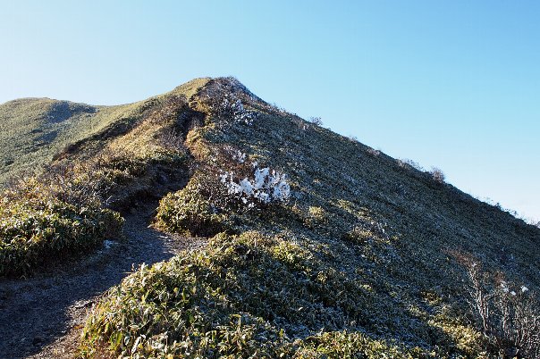 b0149340_16542830.jpg