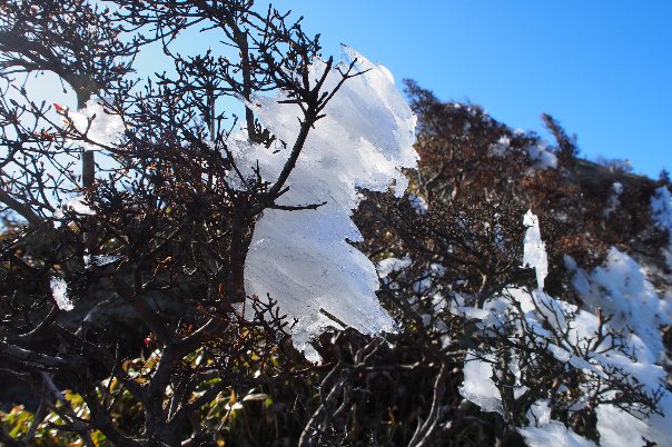 b0149340_165650100.jpg