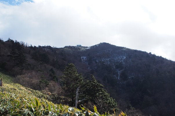 b0149340_17291026.jpg