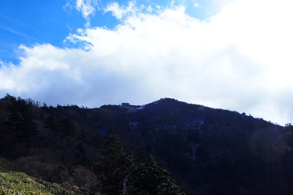 b0149340_1729148.jpg