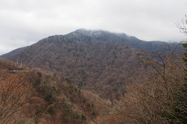 b0149340_17415063.jpg