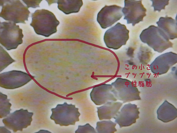 f0135940_19421938.jpg