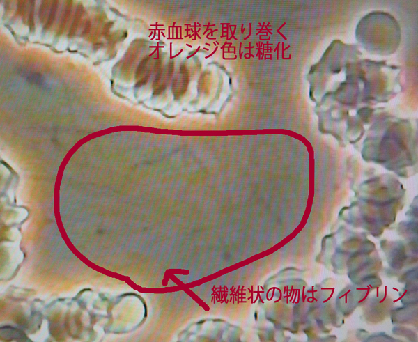f0135940_19422228.jpg