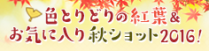b0299042_894156.png