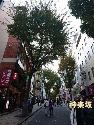 f0087347_20384381.jpg