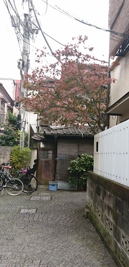 f0087347_2115438.jpg