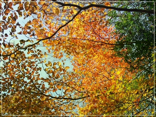 d0013149_00125178.jpg