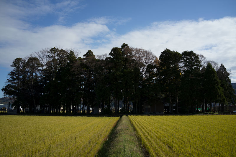 d0342652_70233.jpg