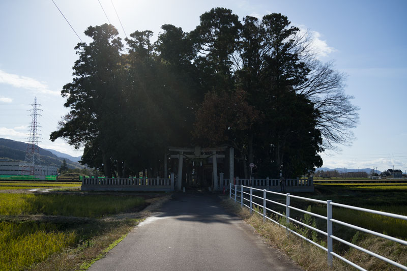 d0342652_705388.jpg