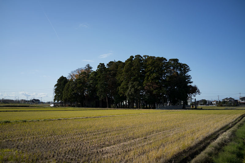 d0342652_741753.jpg