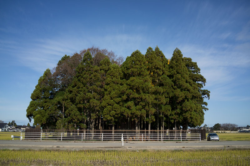 d0342652_753785.jpg