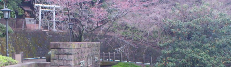 a0057057_22305568.png