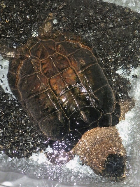 c0105569_125348.jpg