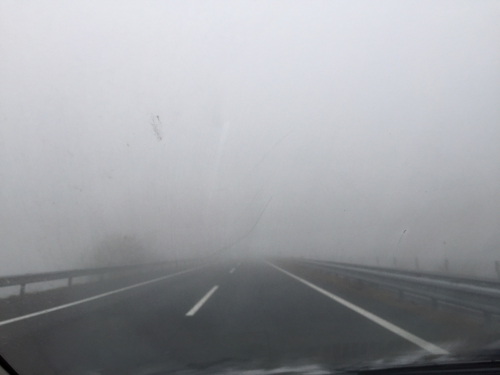 a0115270_08171926.jpg