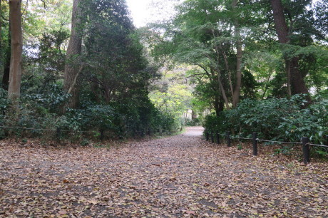 e0292172_19504459.jpg