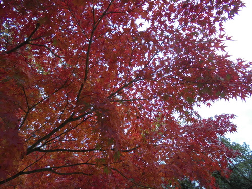 a0209173_3373448.jpg