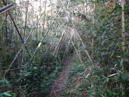 d0182075_02311492.jpg